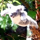 Cameron Charles Paul - @Cam_Paul - Twitter