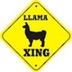 llama_pink's profile picture. 楽天市場の商品を厳選して紹介しています。新しい商品も追加していきますので見逃さないでくださいね。■ ■ ■ Check ■ ■ ■