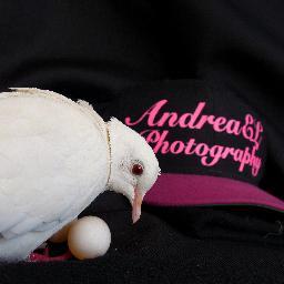 Photography a passion: Weddings, People, Pets, and my love of Birds and Nature. http://t.co/Me15c1cGgU