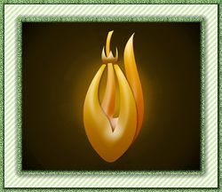 shaikbaji's profile picture. transform your ideas into technology