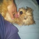 abel rosado delgado - @abelrosadodelga - Twitter