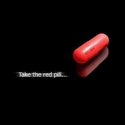 Finally taking the red pill & getting my man shit together after too many years of being a supplicating pussy. Enjoying the Decline! Going Galt!