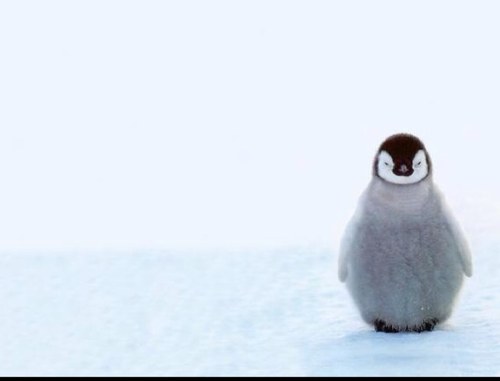 ww0721081's profile picture. 