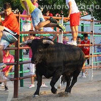 Las peñas unidas (@marcharebelde) 's Twitter Profile