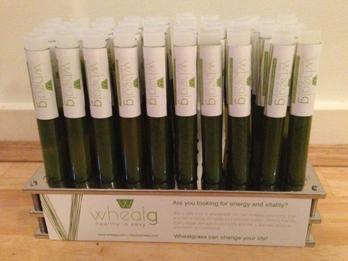 wheatg_'s profile picture. WheatG provides wheatgrass juice to anyone living in Australia to boost energy levels and offer healthy life options.