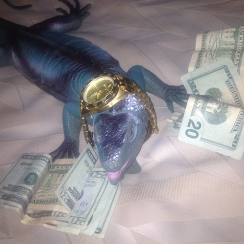 Hey its igGy fox im all about getting iguana pussy and banging fox. Be sure to follow @hipsterannt , @supportcaleon , @whychubbzfox & , @leaveit2trent.