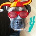 Mac Jenkins (@macjenkins82) Twitter profile photo
