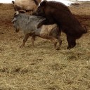 Todd Gruber - @GruberTodd - Twitter