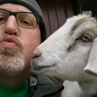 Dave Stout (@woodywilco) 's Twitter Profile Photo Dave Stout (@woodywilco) 's Twitter Profile Photo