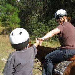 We offer professionally-guided horse rides for 2-6 adults and children 8 years of age and older.  Expect to ride a well-bred, expertly trained horse.