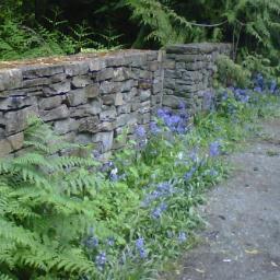 smcranor's profile picture. 