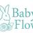 BabyFlowersGift's profile image