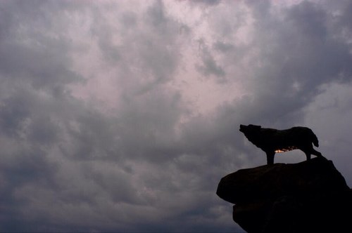 Kent Fullbright Profile