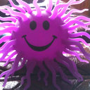 Donna Hays - @DonnaHays16 - Twitter