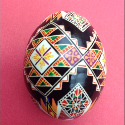 CarolynHamilto3's profile picture. 