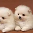 Aracely Torres - @TorresAracely7 - Twitter