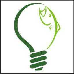 Electrical - Lighting - Fishing Store