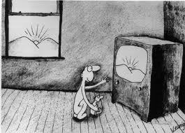 bronbevan's profile picture. nurse, international adventurer, loves life, parent