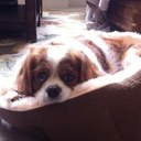 Kimberly Maxey - @maxey_kimberly - Twitter