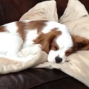 Violet Fields - @Violet_Fields1 - Twitter