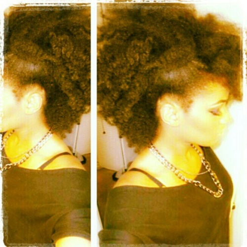 FUCK A BIO  #Bitch #TeamNatural #TeamMe#TEAMBLACKPOWER