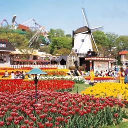 ve49304021's profile picture. 