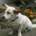 Shelly Snow - @shellythesnow - Twitter