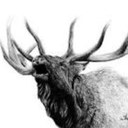 Eli Greer - @eli_greer - Twitter