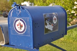 Winnipeg Jets fan