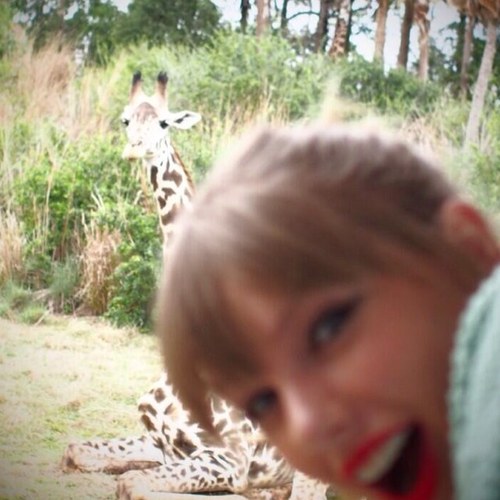sou o brigadeiro da demi, o cookie da taylor e o pão de queijo dos jonas bj p recalque :*
