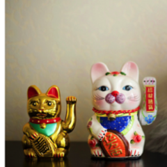 RockVarela's profile picture. 