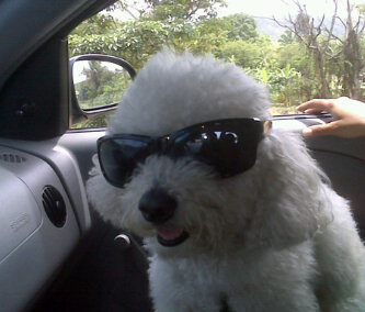 manuelquiaro's profile picture. 