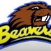 beaver football team (@beaverpage) Twitter profile photo