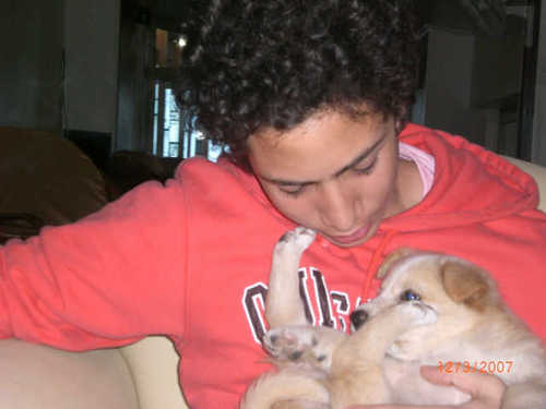 Interruptor531's profile picture. 