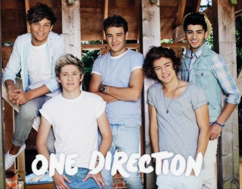 Vic_Stylinson's profile picture. Everyone should follow @NellyLoves_1D (shes amazing♥) #Directioner