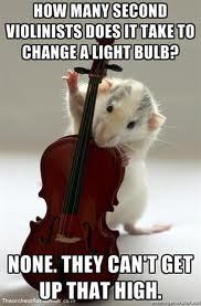 Just a 2nd violin player over here. Follow for some funny 2nd violin jokes and maybe some other instruments too. #2ndviolinproblems