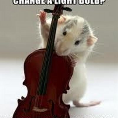 2nd Violin Problems On Twitter I M Always Unsure About What S