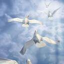 Catherine Kush - @therinekush - Twitter