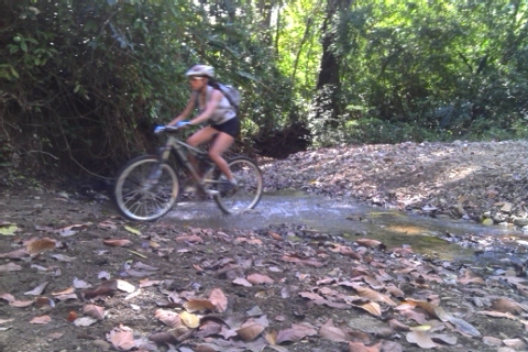 ccespedes026's profile picture. 