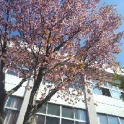 苫小牧高等商業学校の情報満載 口コミ 就職など みんなの専門学校情報