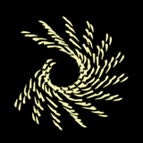 pakeisk's profile picture. 