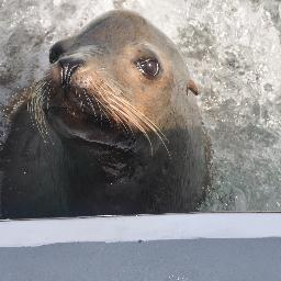 batman83742690's profile picture. 547 Renovations employee http://t.co/wQBiN3v2h4