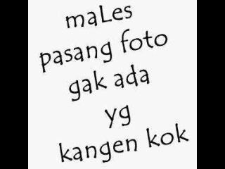 JombloPhp's profile picture. Menanti berakhirnya PHPKU kodong