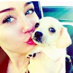 Miley Ray Cyrus (born Destiny Hope Cyrus, Nashville, November 23, 1992) is an actress, singer, fashion designer and composer, U.S.. ♥ sobre-- @MileyCyrus
