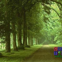 MinangNasda's profile picture. Hidup itu indah jika kita jalankan dengan akal dan pikiran yang sehat .....