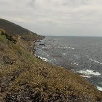 A (@annaaxelin) 's Twitter Profile