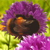 EileenG Profile