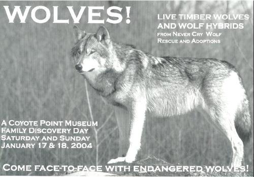 NCWR&A a Nonprofit Public Benefit Corporation which exists to rescue & nurture wolves & wolf-hybrids that have been abused or abandoned, & to educate the Public