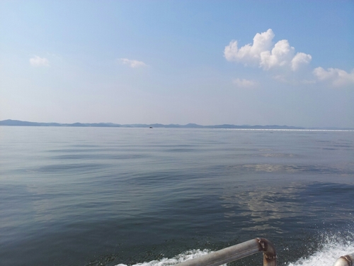 graceorlove7777's profile picture. 안녕 하세요 바다좌대낚시터 입니다,,안전시설과 각종 편의시설 구축// 남녀노소 누구나 즐거운 생활 낚시를 즐기실수 있습니다..기업/단체/모임 등 각종 자연산 어종을 낚으실수 있는곳 한번 놀러 오세요 http://t.co/gzPT9ySGA2