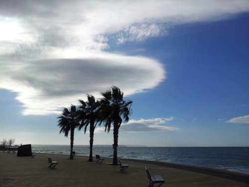 putrum77's profile picture. 